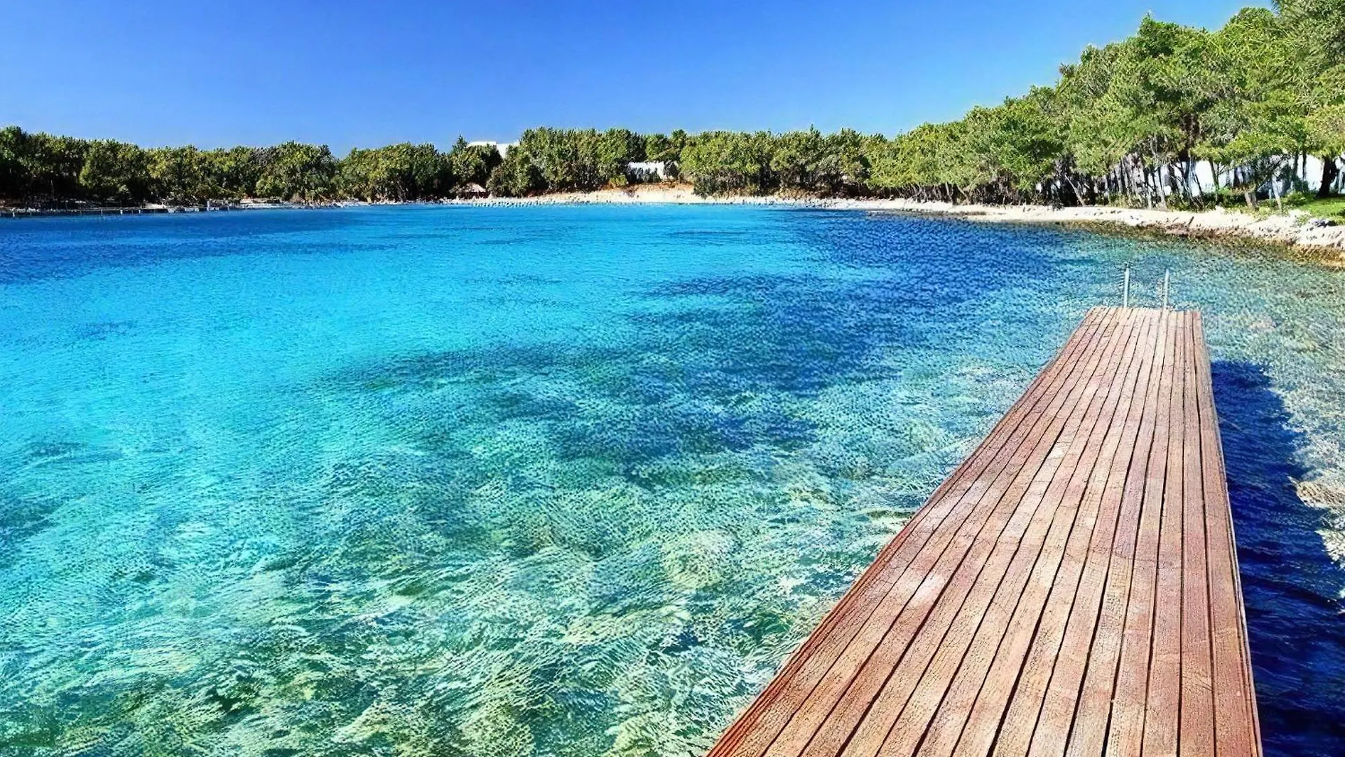 Apartment Moderne Strandwohnung In Zentraler Lage Biograd Na Moru Croatia
